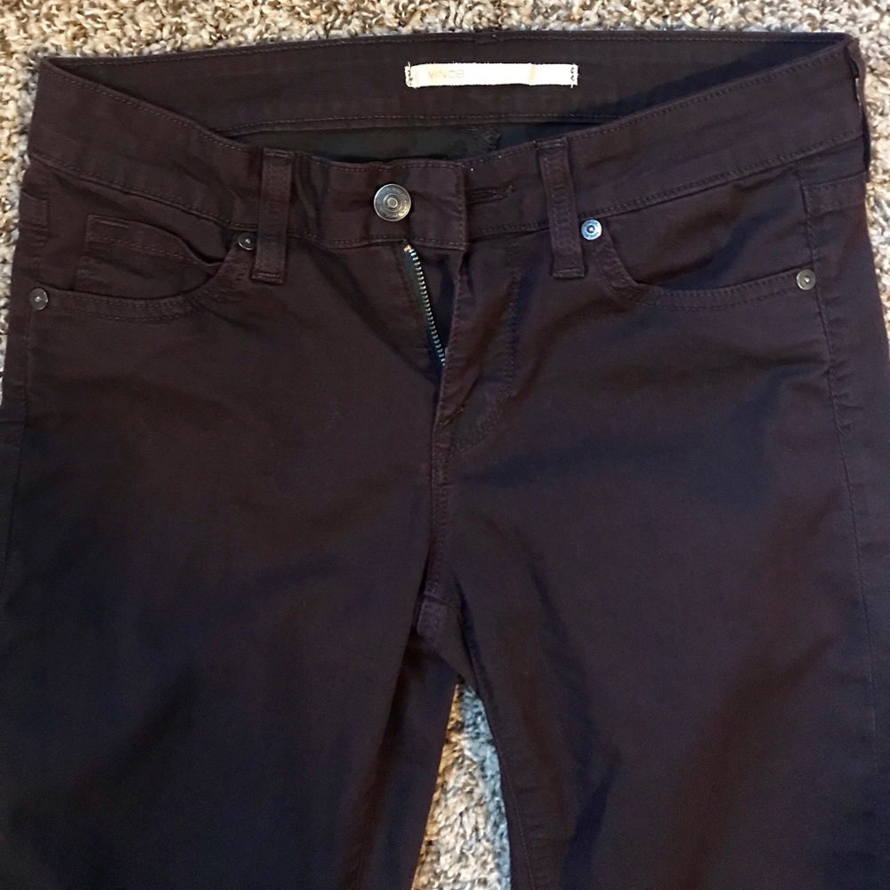 Vince pants